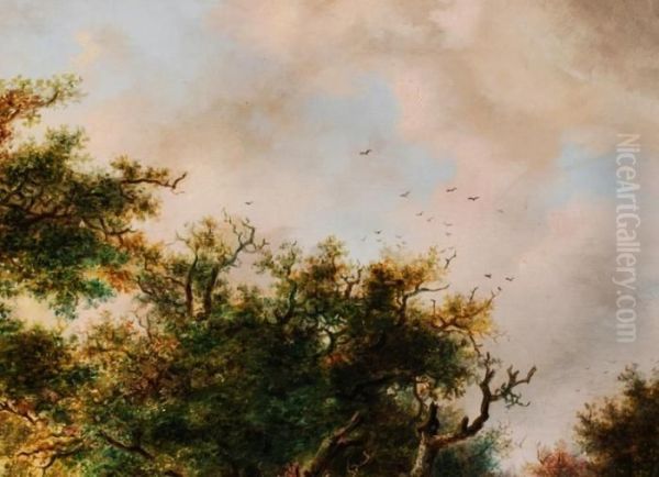 Romantische Waldlandschaft Im Spatsommerlicht Mit Reicher Staffage - view 1