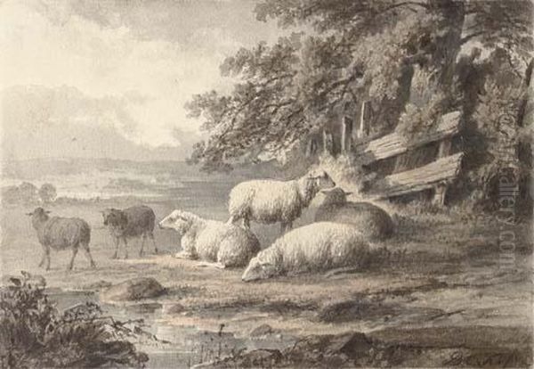Sheep In A Meadow - view 1