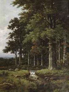 A Forest Stream