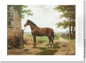Cheval Pres De La Ferme.