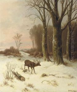 A Stag On The Edge Of A Forest