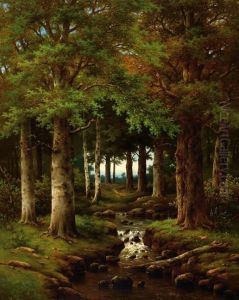 View On A Small River In The Woods