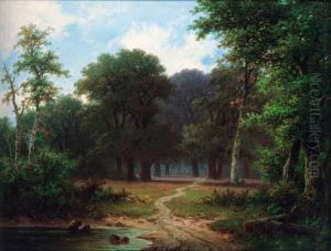 A Path Through A Woodland