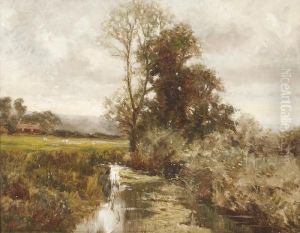 Landschaft Landschaft