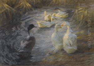 Ducks Among Reeds In A Pond