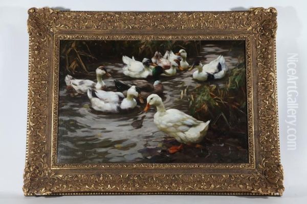 The Duck Pond - view 1