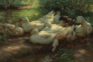 Eight Ducks On The Riverbank Eight Ducks On The Riverbank