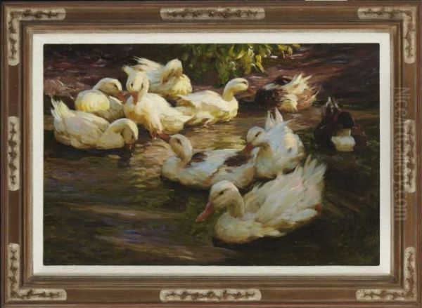 "enten In Herbststimmung (entenidyll)". - view 1