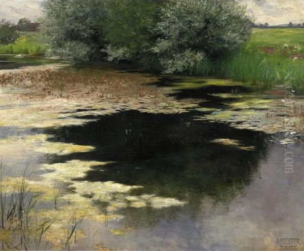 Pond - view 1