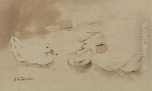 Vier Enten Im Wasser.
