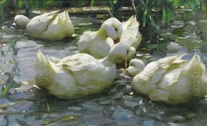 Four Ducks In The Water by Alexander Max Koester