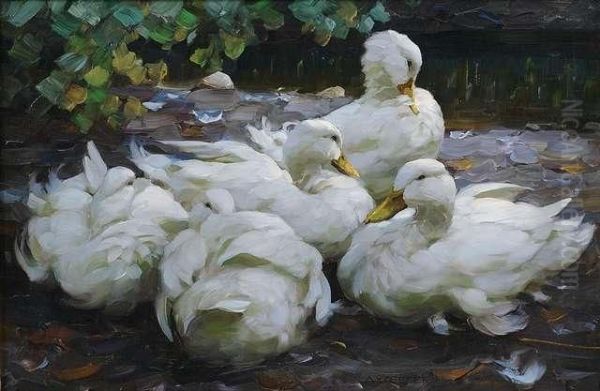 Five White Ducks Resting - view 1