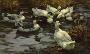 Ducks In The Evening Sun by Alexander Max Koester
