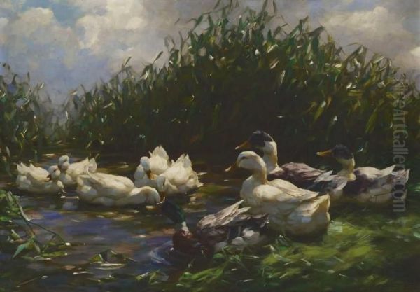 Neun Enten Im Schilf - view 1