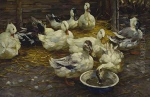 Enten Im Stroh