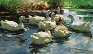 Sieben Enten Auf Dem Teich