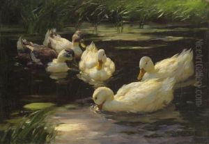 Funf Enten Im Schilfteich by Alexander Max Koester