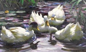 Vier Schwimmende Enten Im Teich Vier Schwimmende Enten Im Teich