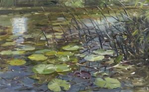 Waterlilies And Reeds