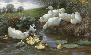 Family Of Ducks At The Water by Alexander Max Koester