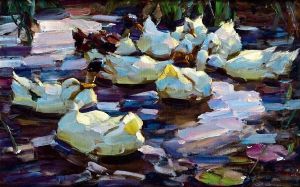 Enten Im Schilfwasser