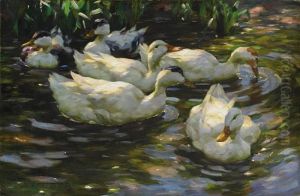 Enten Im Teich Enten Im Teich