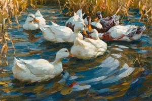 Ducks In Blue Reedy Water. by Alexander Max Koester