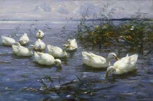 Zehn Weise Enten Im Wasser. by Alexander Max Koester