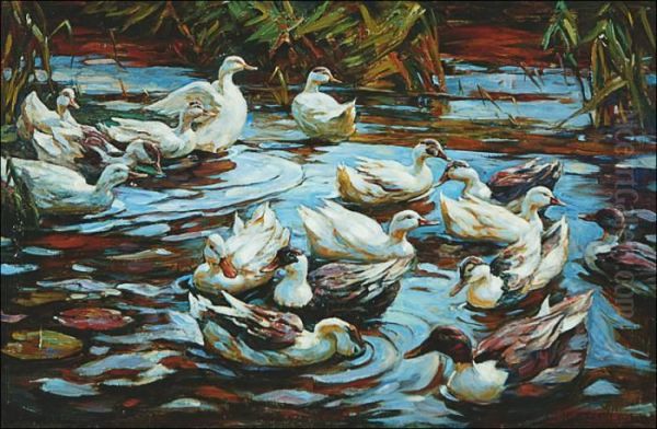 Ducks - view 1