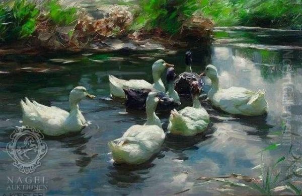 Seven Ducks At Lakeshore - view 1