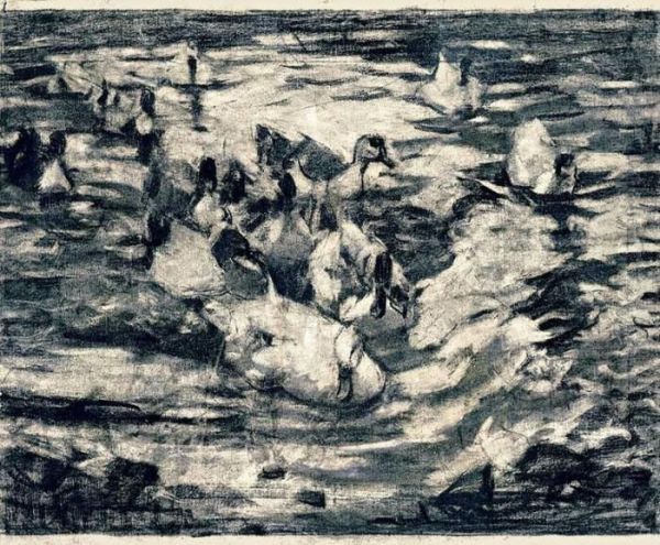 Enten - view 1