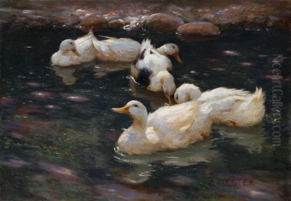 Enten Im Fluss - view 1