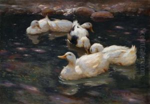 Enten Im Fluss Enten Im Fluss