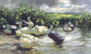 Enten In Grunem Wasser: Ducks On Green Water by Alexander Max Koester
