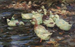 Duckscavorting At Shore