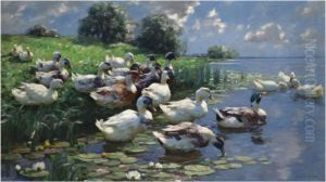 Enten Am Seeufer (ducks On A Lake Shore)