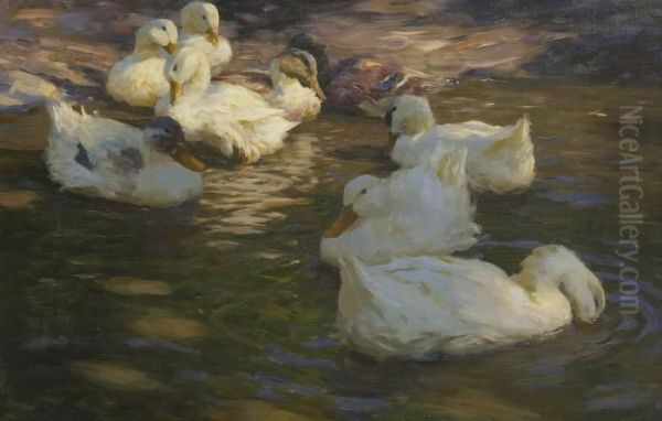 Neun Enten Im Wasser. - view 1