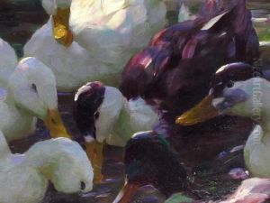 Zehn Enten Bei Sonnenuntergang Im Weiher by Alexander Max Koester