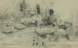 Enten Am Teich. by Alexander Max Koester
