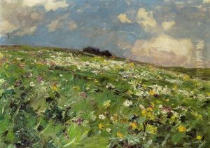 Blumenwiese