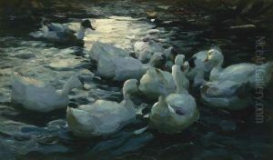 Elf Enten Im Wasser by Alexander Max Koester