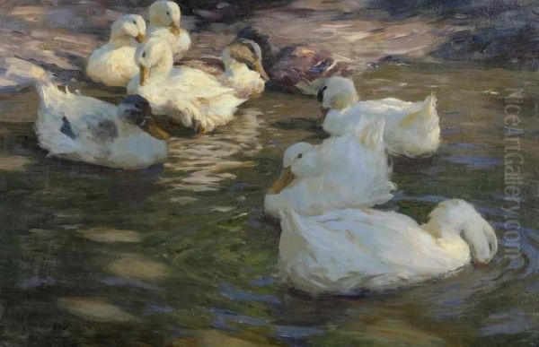 Nine Ducks In A Pond. - view 1