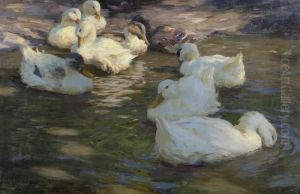 Nine Ducks In A Pond. by Alexander Max Koester
