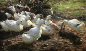 Neun Enten Am Wasserlauf (nine Ducks) by Alexander Max Koester