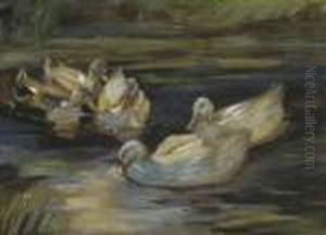 Funf Enten Am Seeufer. by Alexander Max Koester