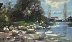 Elf Enten Am Steg (eleven Ducks By A Jetty)