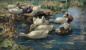 Weise Enten Am Seeufer