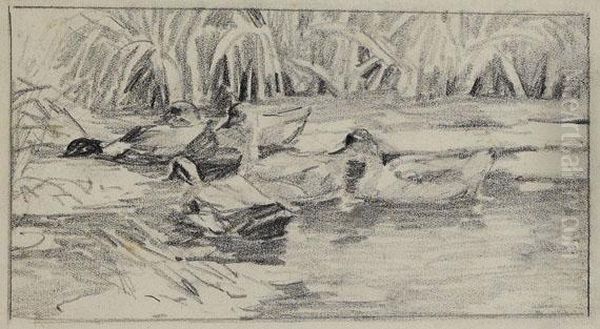 Sechs Enten Am Schilf - Windig - view 1
