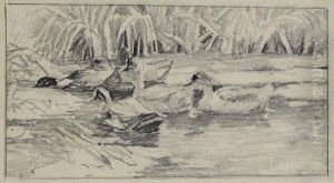 Sechs Enten Am Schilf - Windig Sechs Enten Am Schilf - Windig