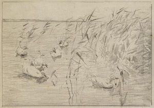 Funf Enten Am Schilfufer by Alexander Max Koester
